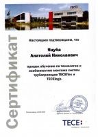 Сертификат TECE Яцуба Анатолий Николаевич